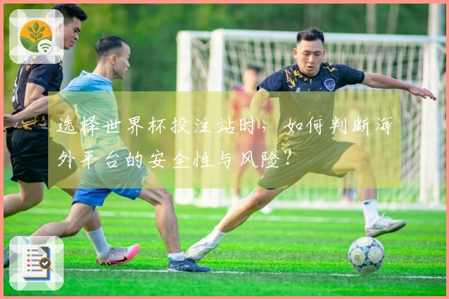 选择世界杯投注站时，如何判断海外平台的安全性与风险？