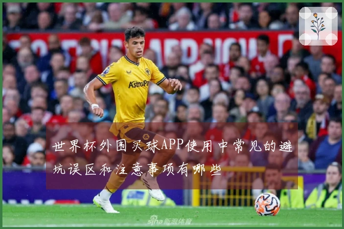 世界杯外围买球APP使用中常见的避坑误区和注意事项有哪些