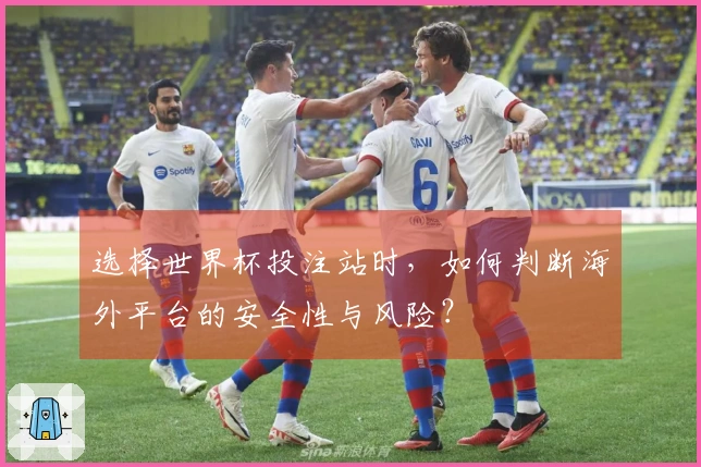 选择世界杯投注站时，如何判断海外平台的安全性与风险？